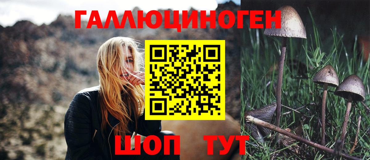 Галлюциногенные грибы GOLDEN TEACHER  купить наркотик  Галлюциногенные грибы ЛСД  Учалы 