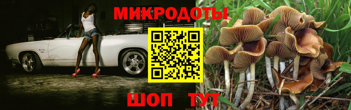 Псилоцибиновые грибы GOLDEN TEACHER Учалы